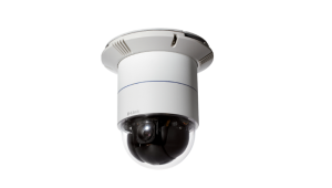 Network Camera D-Link DCS-6616 Colour12x Optical - CCD DCS-6616